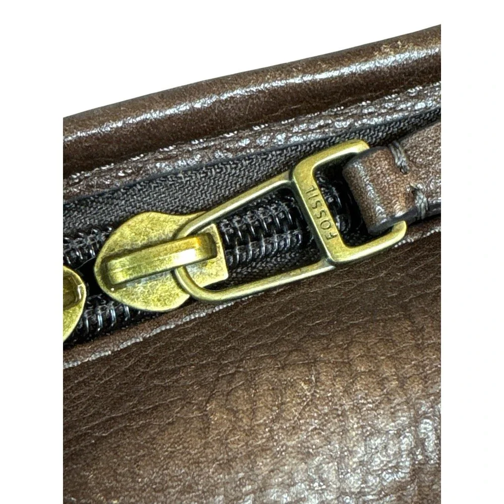 Fossil rich dark